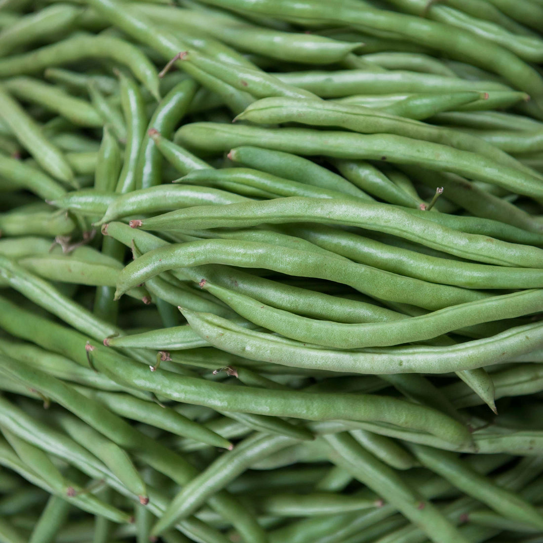 Stay Healthy with Nutritious Freeze Dried Green Beans