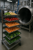 How the Freeze-Drying Process Works: Preserving Fruits and Vegetables the Smart Way