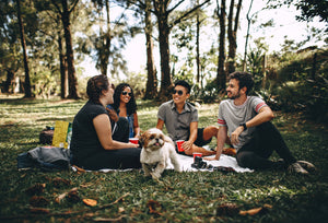 Must Try Tips to Throw an Epic Labor Day Picnic