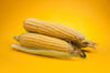 Ways to Enjoy Our Freeze Dried Corn
