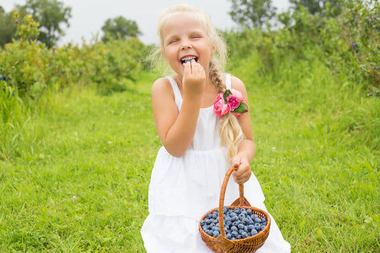 Blueberries – Antioxidants to Help with Your Health