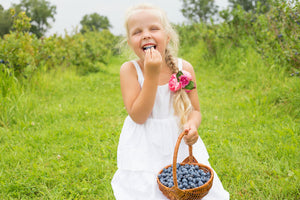 Blueberries – Antioxidants to Help with Your Health