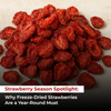 Strawberry Season Spotlight: Why Freeze-Dried Strawberries Are a Year-Round Must