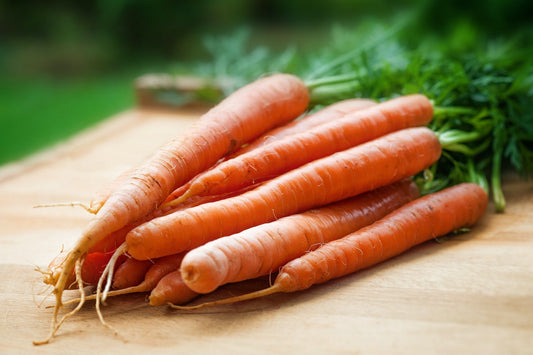 Fresh carrots, the featured ingredient in these sweet and savory carrot recipes