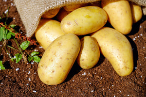 4 Tasty Potatoes Recipe to Mark National Tater Day