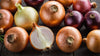 Why Organic Onions are the Best Choice for Your Recipes