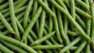 Stay Healthy with Nutritious Freeze Dried Green Beans