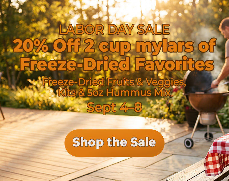 Labor Day Sale 2026