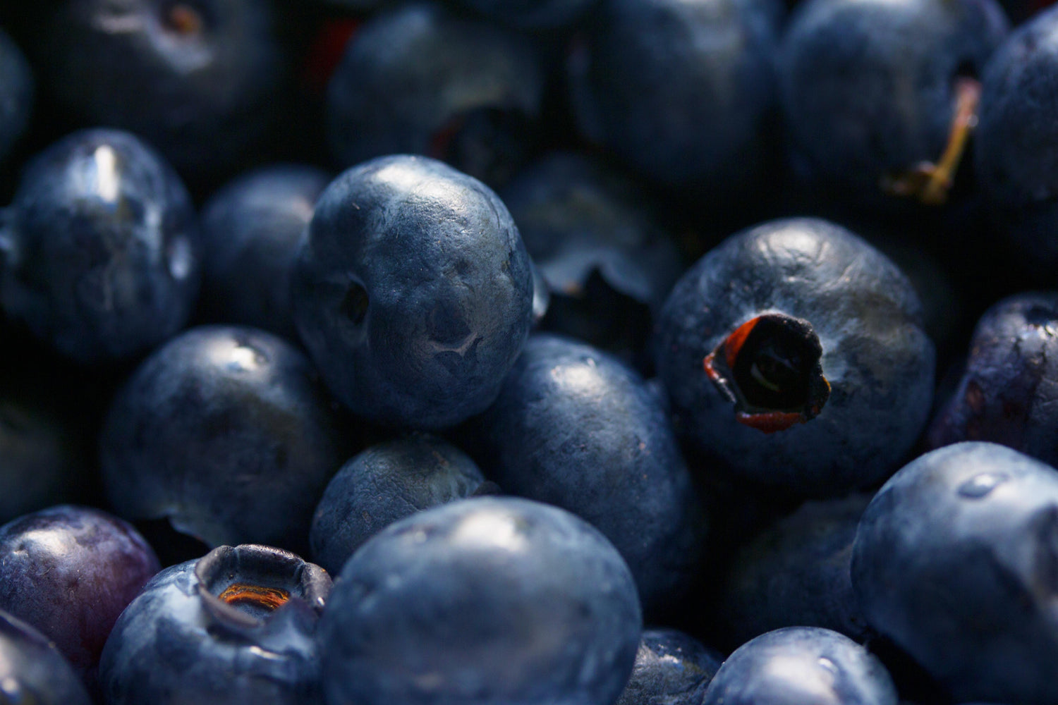 Packed with Antioxidants