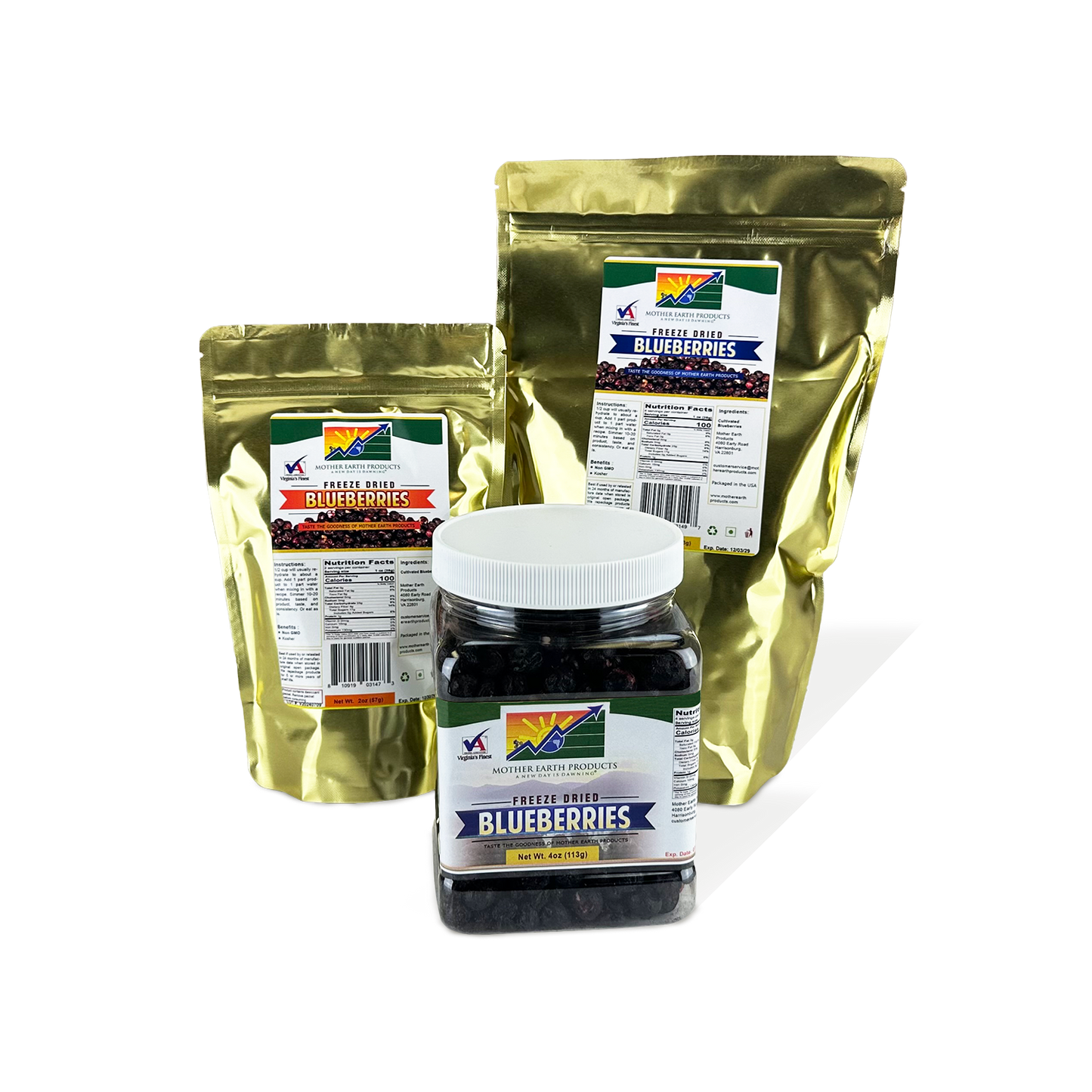Freeze Dried Blueberries Group