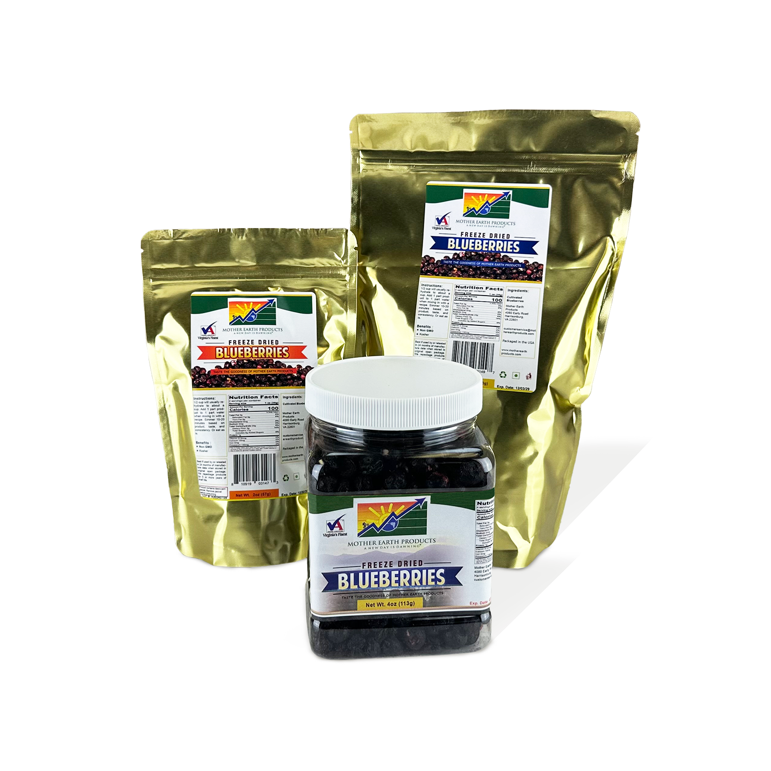 Freeze Dried Blueberries Group