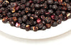 Organic Crunchy Blueberries Bowl